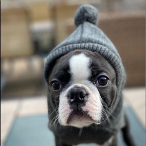 Meet your Posher, Jc